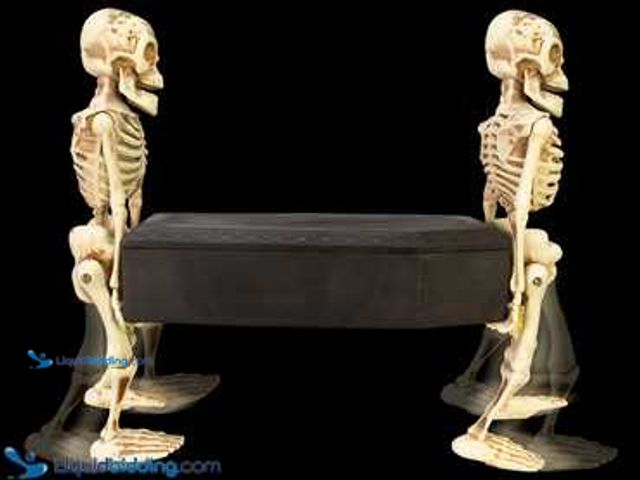 Lot 49-5436808 - Animatronics Bones Coffin Co Movers sound & motion activated walks & plays music. Used.