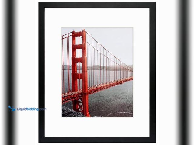 Lot 49-1516890 - Frametory 16x20 Picture Frame for Wall, Display Picture 11x14 with Mat or 16x20 Without Mat, Gifts f...