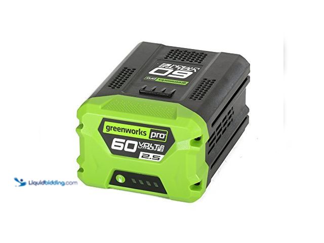 Lot 49-5543034 - GreenWorks Pro 60-Volt Max 2.5-Amp Hours Rechargeable Lithium Ion (Li-ion) Cordless Power Equipment ...