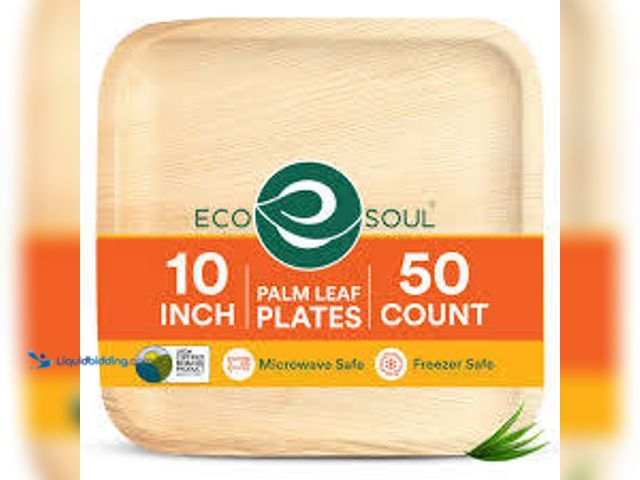 Lot 49-1519160 - Meet compostable 10x10 inch palm leaf square plates (50 count) for breakfast, dinner, bamboo plates ...