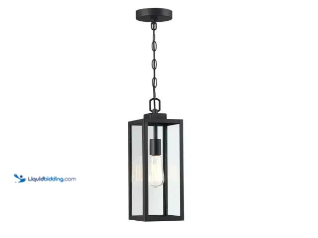 Lot 49-5412832 - Hukoro Alfa 1-Light Matte Black Outdoor Hanging Lantern Pendant Light. Item is New