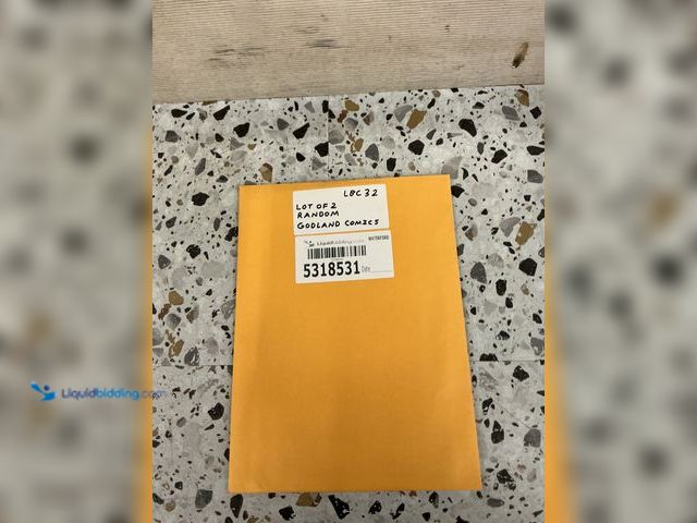 Lot 49-5489296 - Lot of 2 Random Godland Comics. Unused.