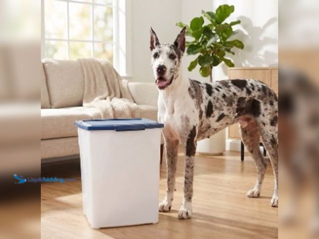 Lot 49-2022720 - Lot of (2) Vibrant Life Pet Food Storage Container, Extra Large, 50 lb Capacity, Model # 872409,  MS...