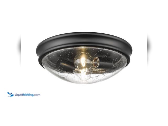 Lot 49-5414631 - millennium 12 in. W 2-Light Matte Black Ceiling Fixture Flush Mount Model # 5228-MB unused