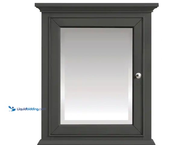 Lot 49-1570072 - Home Decorators Collection Windlowe 24 in. W x 28 in. H Rectangular Medicine Cabinet with Mirror, Gr...