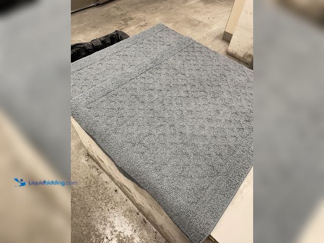 Lot 49-5496028 - GRAY RUGS  2 OF THEM   SHAGGY AND SOFT  DIRTY FROM SHIPPING      APPROX 24 X 24