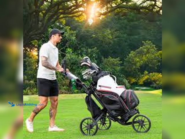 Lot 49-5545378 - Easego DZ Golf Cart (Matte Black/White) Used