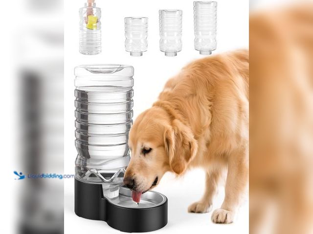 Lot 49-3535380 - 2.5 Gallon Automatic Dog Water Dispenser【Wide Mouth for Easy Hand-in Cleaning】【Removable Stainless S...