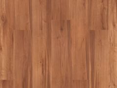 Lot 49-2026169 - undefined