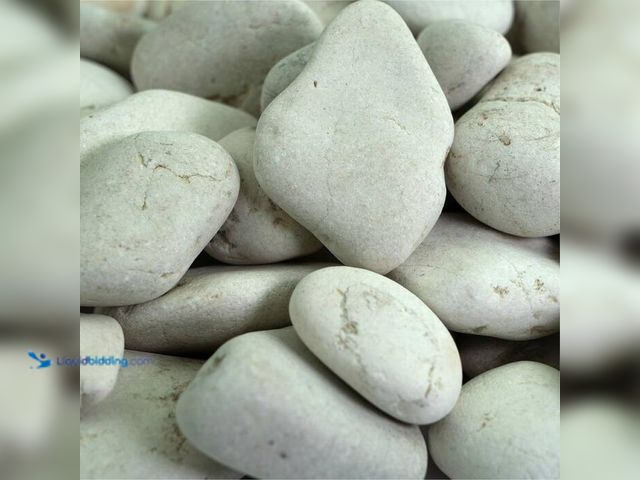 Lot 49-2024096 - Southwest Boulder & Stone 0.25 cu. ft. 1/2 in. to 1 in. 20 lbs. White Polynesian Landscape Rock for ...