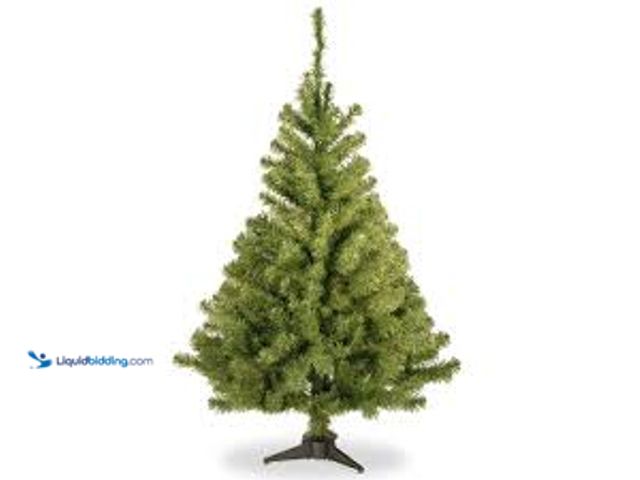 Lot 49-5462039 - National Tree Company 3 ft Unlit Kincaid Spruce Mini Artificial Christmas Tree, 113 Tips, Includes S...