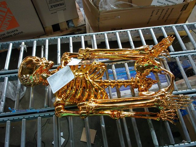 Lot 49-1533785 - Life Size Gold Plated Posable Skeleton Halloween Décor, Model #866593, Unused  Ref#HW1009