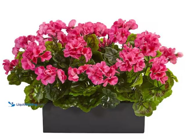 Lot 49-1623761 - Nearly Natural Artificial Indoor/Outdoor UV Resistant Pink Geranium Silk Plant in Rectangular Plante...