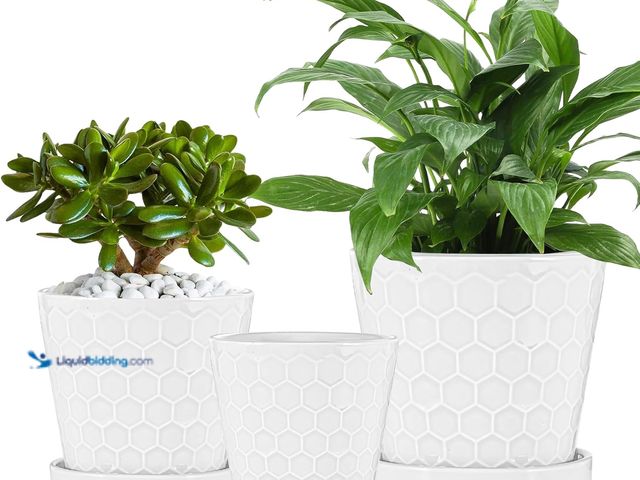 Lot 49-5410278 - Ceramic Plant Pots,4+5+6 Inch Pots for Indoor Plants,Planters with Drainage Holes and Ceramic Tray, ...