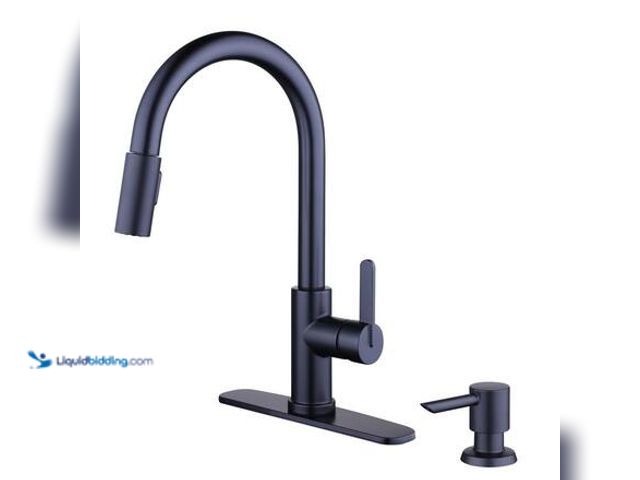 Lot 49-5572244 - Glacier Bay Paulina Single-Handle Pull-Down Sprayer Kitchen Faucet with TurboSpray, FastMount, Soap ...