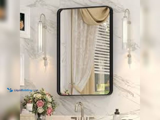 Lot 49-3536863 - Apmir 16 in. W x 24 in. H Rectangular Aluminum Alloy Framed and Tempered Glass Wall Bathroom Vanity ...