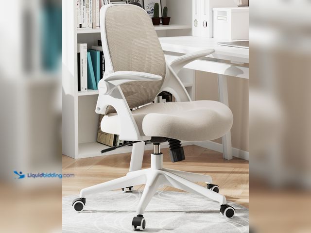 Lot 49-5413712 - Hbada Office Desk Chair with Flip-Up Armrests and Saddle Cushion, Ergonomic Office Chair with S-Shap...