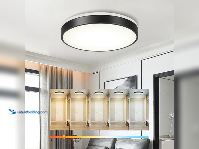 Lot 49-5437342 - Ken & Ricky 16" Flush Mount Ceiling Light Fixtures,Black Led Close to Ceiling Lighting Fixtures, Mod...