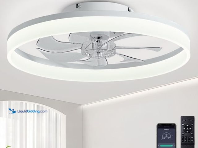 Lot 49-1516473 - Ceiling Fans with Lights and Remote, 20" Modern Low Profile Ceiling Fan with Light, Stepless Color T...