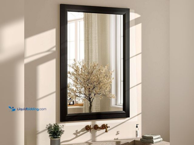 Lot 49-5487107 - XRAMFY
24 in. W x 36 in. H Rectangular Classic Black Wooden Framed Bathroom Vanity Mirror Wall Mirr...