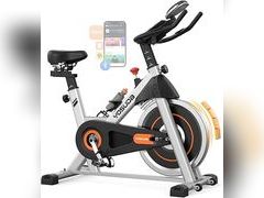 Lot 49-5475976 - undefined