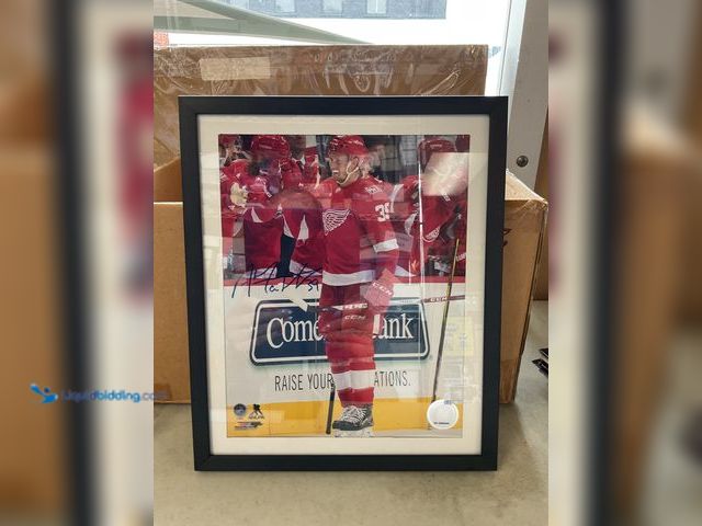 Lot 49-5515577 - Other DETROIT RED WINGS SUPERSTAR ANTHONY MANTHA AUTOGRAPHED PHOTO FRAMED AND READY TO HANG