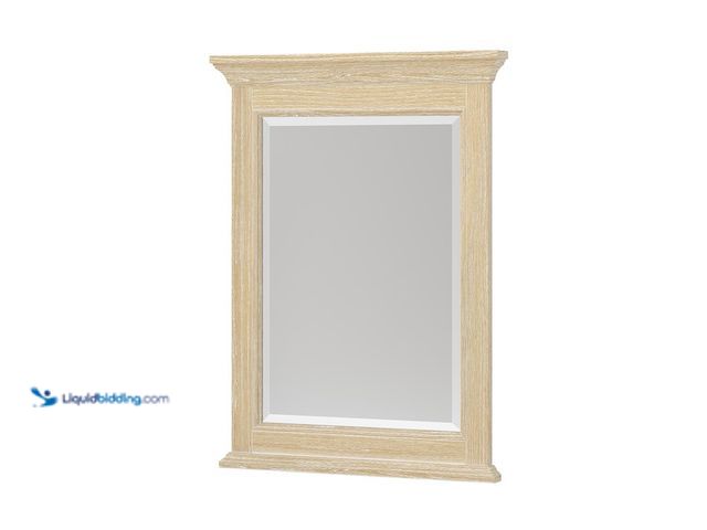 Lot 49-5453584 - CRAFT + MAIN Brantley 24 in. W x 32 in. H Rectangular Single Wood Framed Beveled Edge Wall Mount Bat...