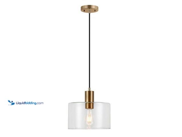 Lot 49-2021967 - Meyer&Cross Henri 1-Light Hand-Blown Glass Pendant with Brass Accents. Model # PD0096. MSRP $60. Unu...