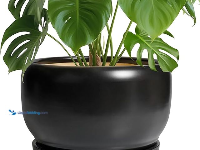 Lot 49-3433522 - SQOWL Ceramic Flower Pot - 10 Inch Planter with Drainage Hole and Saucer, Modern Large Plant Pot Ind...