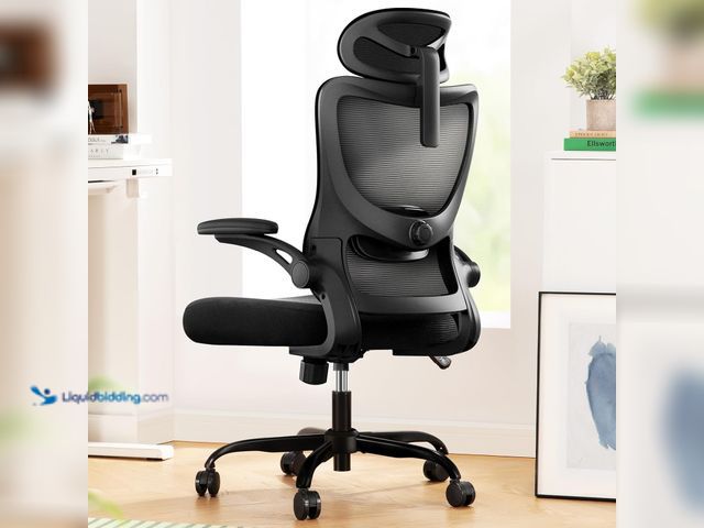 LiquidBidding - Lot 49-5455103 - Marsail Ergonomic Office Chair: Office ...