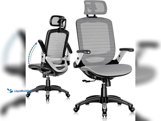 Lot 49-5437874 - GABRYLLY Ergonomic Office Chair, High Back Home Desk Chair with Headrest, Flip-Up Arms, 90-120° Tilt...