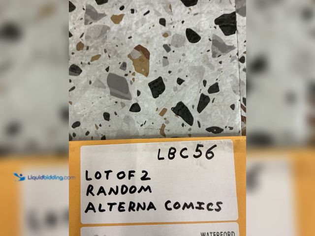 Lot 49-5489319 - Lot of 2 Random Alterna Comics. Unused.