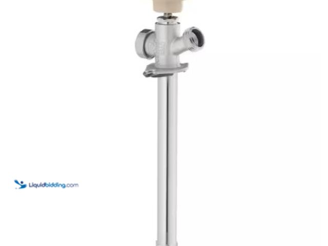 Lot 49-5542482 - Everbilt
3/4 in. MHT x 1/2 in. MIP and 1/2 in. SWT x 8 in. Brass Anti-Siphon Frost Free Sillcock Va...