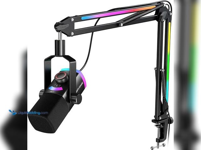 Lot 49-3600367 - FIFINE Gaming Microphone Kit, XLR/USB Dynamic PC Microphone with Boom Arm for Podcast Recording, RGB...