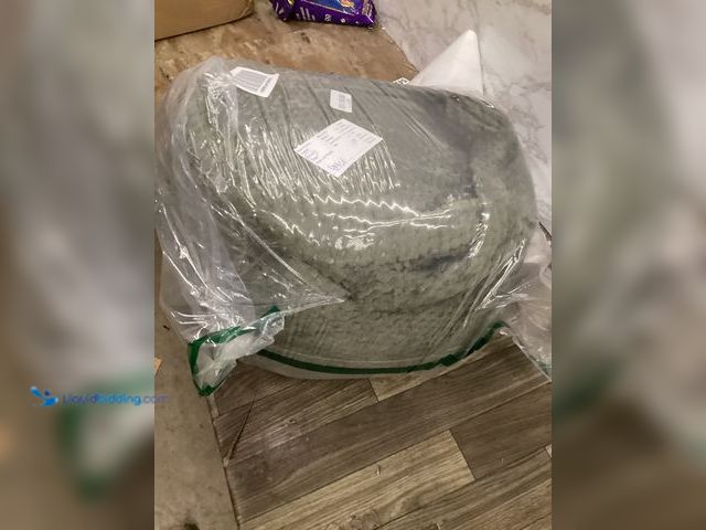 Lot 49-5411523 - Green Small Pet Bed. unused