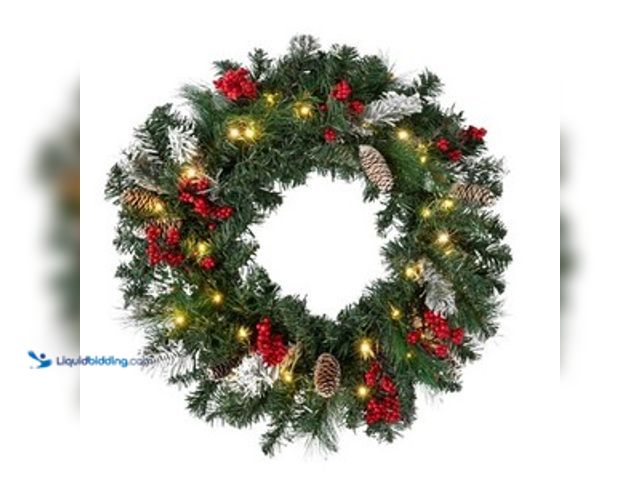 Lot 49-5454215 - Prelit 24” Christmas Wreath, Flocked Door Wreath with Lights Christmas Décor