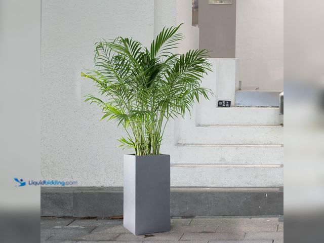 Lot 49-5410866 - Concrete Rectangle Tall, Large Outdoor/Indoor Planter Pots Lightweight with Drainage for Patio Deck ...