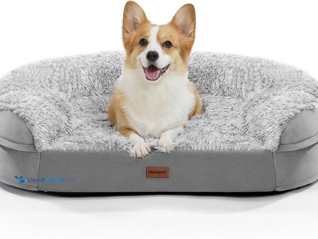 Lot 49-5406189 - 3.7 inch Thickened Orthopedic Dog Beds for Medium Dogs, Supportive Dog Sofa Bed with 28D Egg-Crate F...