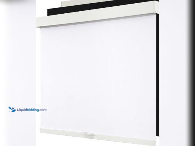Lot 49-3523403 - Cordless Blackout Roller Shades Blinds for Windows Free-Stop,Pull Down Room Darkening with Valance,T...