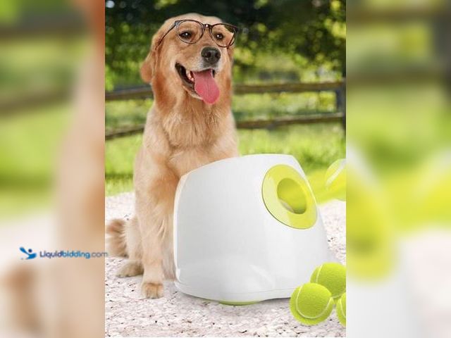 Lot 49-5436833 - ALL FOR PAWS Automatic Dog Ball Launcher for Medium to Large Dogs, Interactive Tennis Ball Thrower, ...