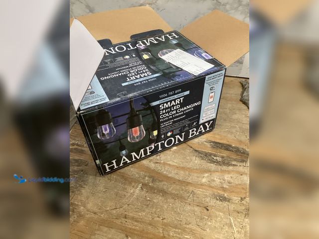 Lot 49-5411973 - Hampton Bay Indoor/Outdoor 12-Light 24 ft. Smart Plug-in Edison Bulb RGBW Color Changing LED String ...