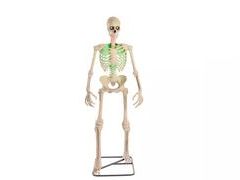 Lot 49-1527190 - undefined