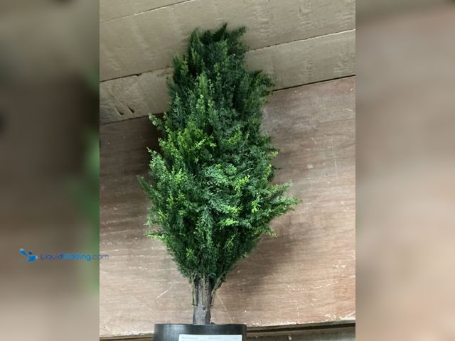 Lot 49-3527436 - 2ft artificial plant Unused