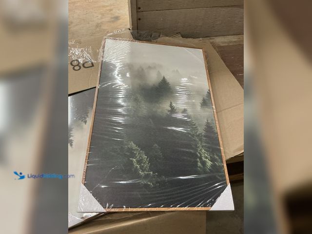 Lot 49-3531110 - 3pc Forest Painting Unused