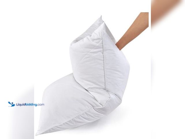 Lot 49-5436511 - Three Geese Pack of 2 White Goose Feather Pillows King Size- Soft 600 Thread Count 100% Cotton, Medi...