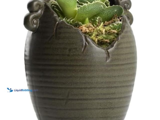 Lot 49-1516230 - Retro Succulent Planter Ceramic Flower Pot for Indoor Outdoor, Cactus Planter Pot with Drainage Hole...