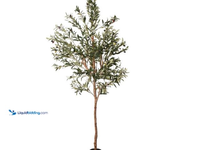 Lot 49-1576836 - 7FT Artificial Olive Tree – Realistic Faux Silk Indoor Plant with Lifelike Olives & Real Wood Trunk ...