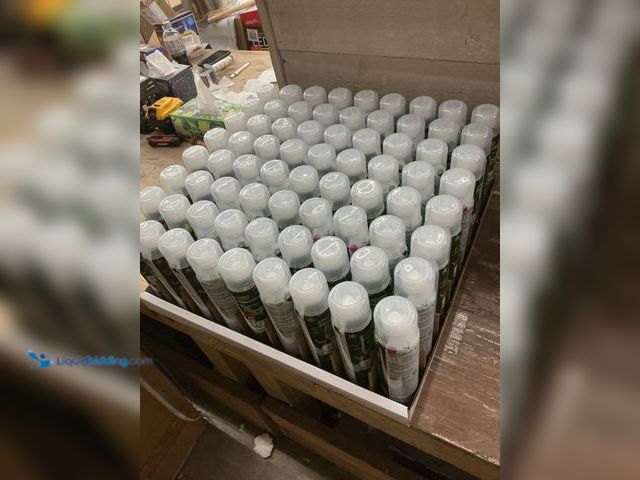 Lot 49-5484915 - HOLIDAY SPRAY Glow Chalk Spray (72 cans) New