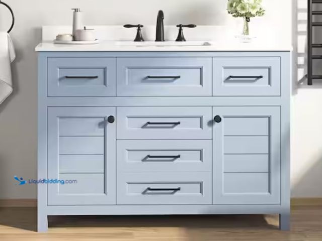 Lot 49-1547771 - Home Decorators Collection Hanna 48 in. Single Sink Spruce Blue Bath Vanity with White Engineered St...