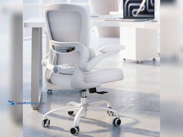 Lot 49-5447862 - Office Chair - Ergonomic Desk Chair with Adjustable Lumbar Support, Mesh Computer Chair, Executive C...